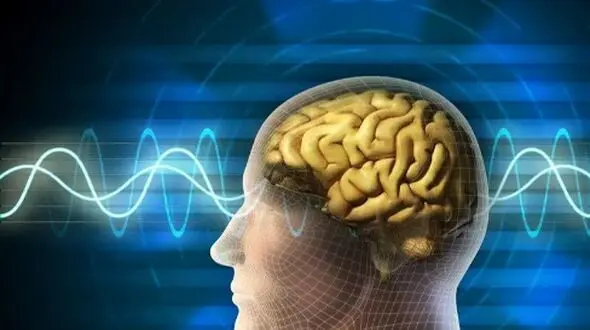 چگونه با 10 تمرین ساده مغز خود را تقویت کنیم؟
