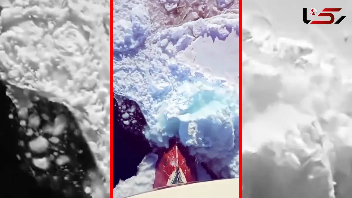 فیلم عبور کشتی یخ شکن از میان یخ های ضخیم