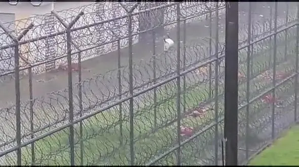 فرار نافرجام زندانیان برزیلی ۲۰ کشته برجا گذاشت + فیلم