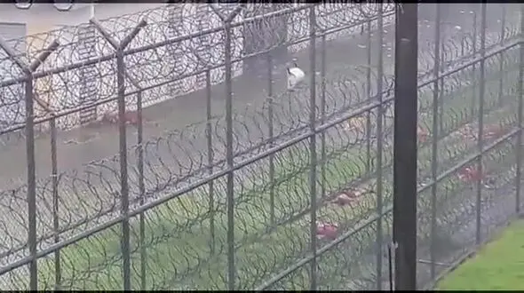 فرار نافرجام زندانیان برزیلی ۲۰ کشته برجا گذاشت + فیلم