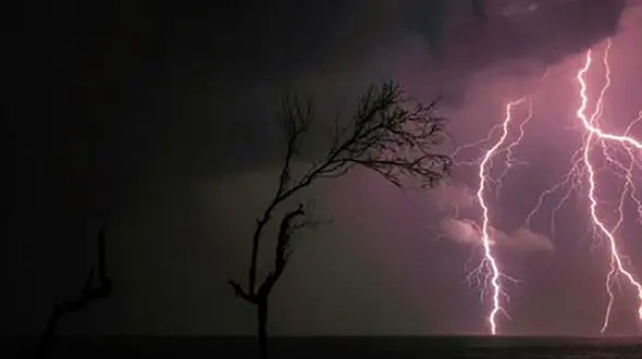 خشک شدن یک مرد در کوهنانی ! / همه شوکه و ماتم زده شدند !
