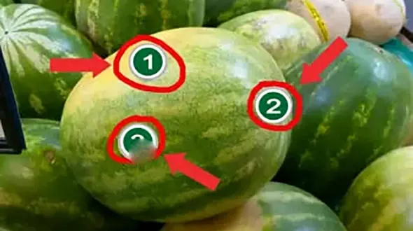 چطوری بتونیم یه هندونه شیرین و آبدار انتخاب کنیم؟ / فیلم