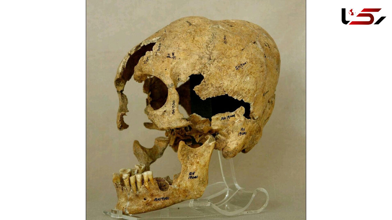 کشف جمجمه 9 هزار ساله یک زن در لرستان  + عکس 