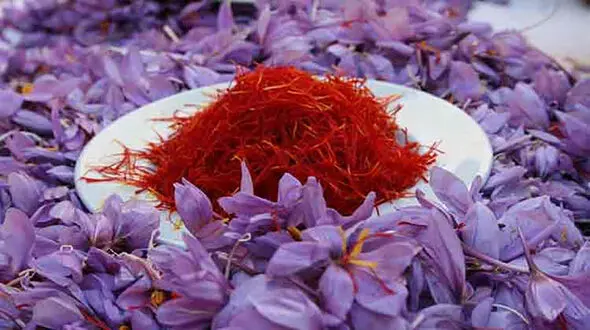 افزایش ۳۰۰ درصدی قیمت زعفران در طی چهل روز