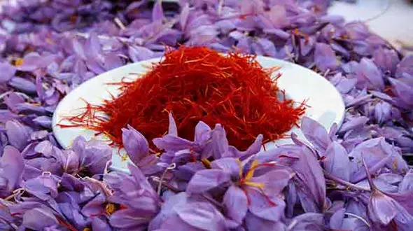 افزایش ۳۰۰ درصدی قیمت زعفران در طی چهل روز