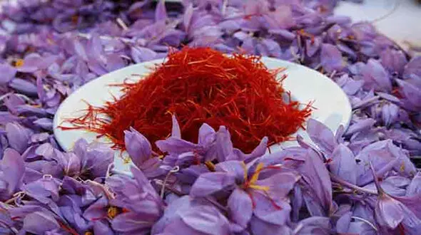افزایش ۳۰۰ درصدی قیمت زعفران در طی چهل روز