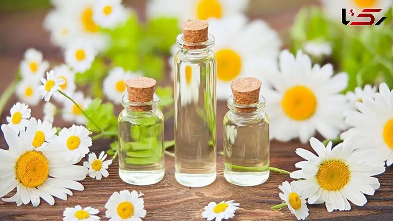 بهترین روغن ها برای تسکین دردهای بدن