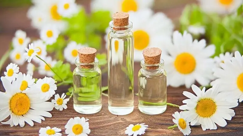 روغن بابونه