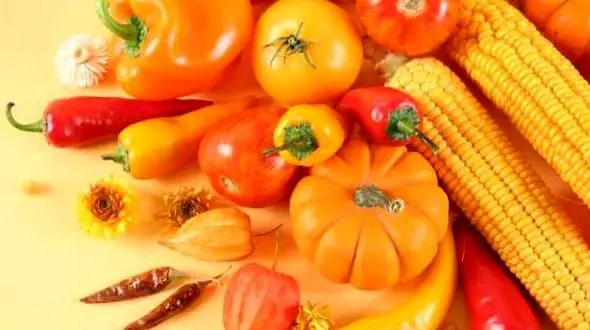 سبزیجاتی که سلامت سالمندان را ضمانت می کند