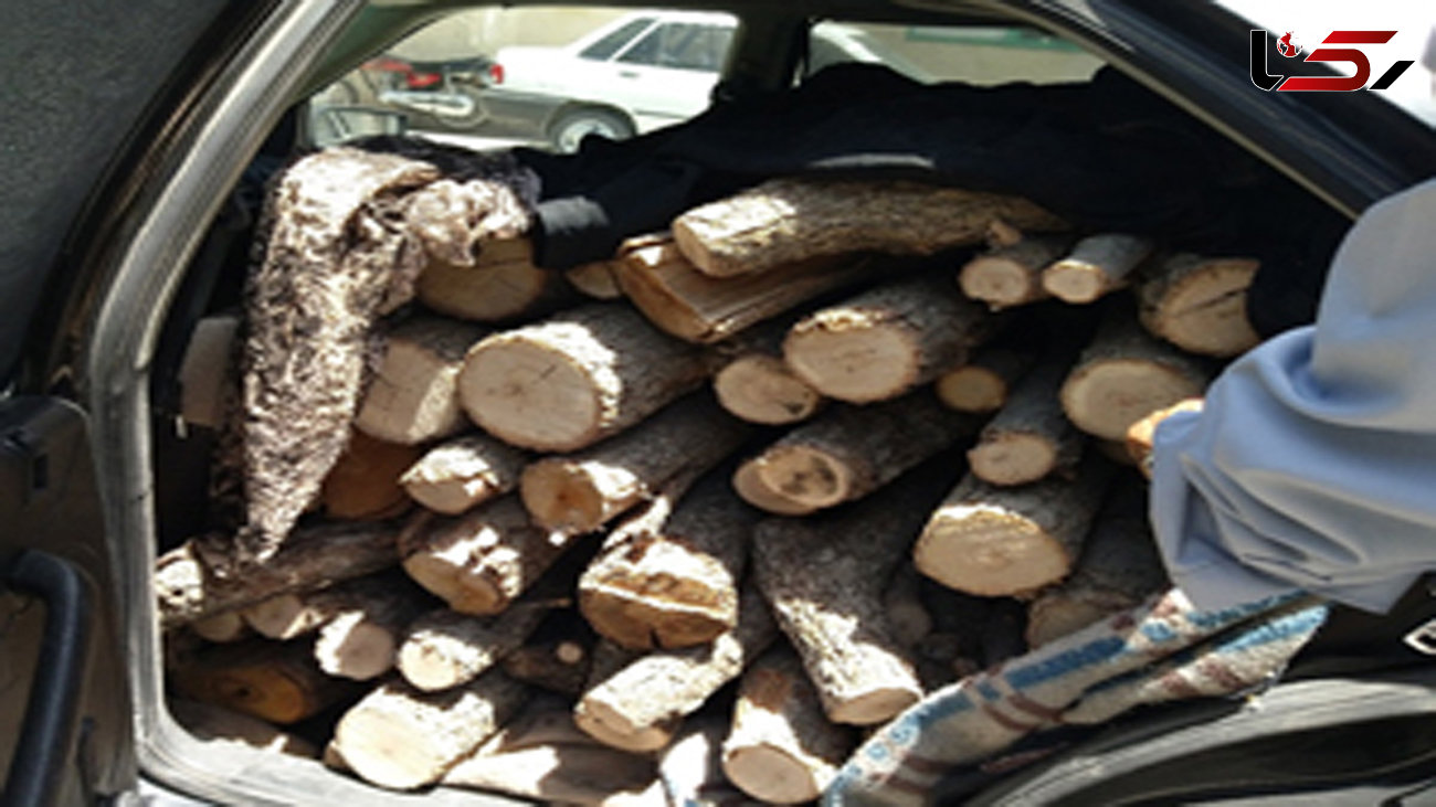 کشف 2 دستگاه خودرو حامل چوب قاچاق در شهرکرد