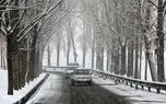 ببینید / بارش زیبای برف در استان تهران + فیلم