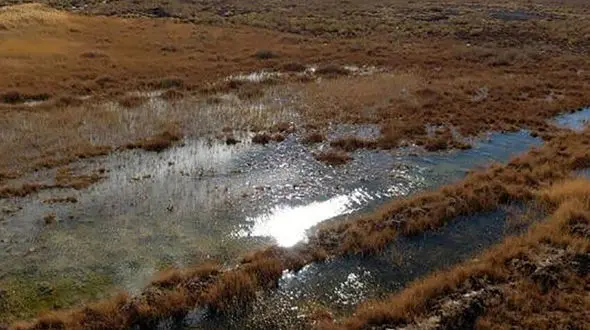 آیا خشکی ۱۰۰ درصدی ۹ تالاب ایران در تابستان جاری صحت دارد؟