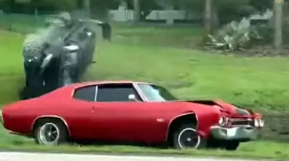 ببینید | تصاویر دوربین روی داشبورد از لحظه تصادف دلخراش