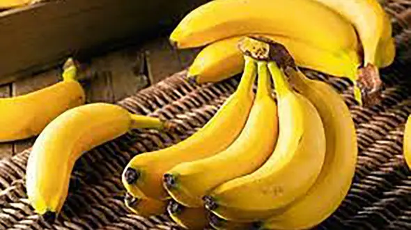 قیمت موز 3 برابر شد 