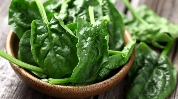 لاغری سه سوته با سبزی پر خاصیت