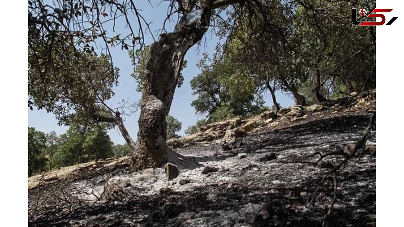 مهار آتش‌سوزی در ارتفاعات پارک ملی گلستان