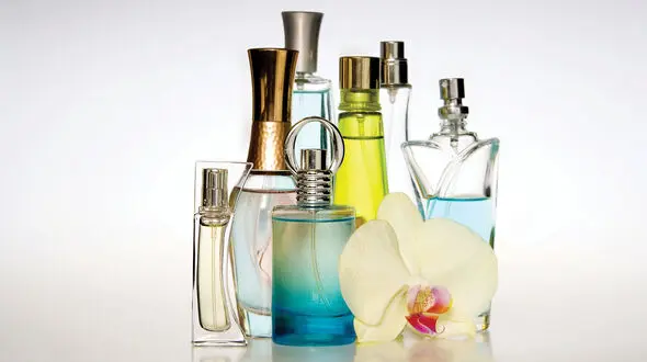 عطر دلخواهت را بساز ! / فوت کوزه گری فاش شد
