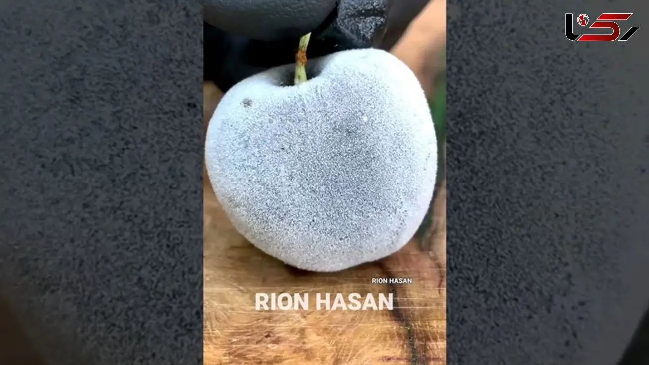 فیلم/ این میوه ها از دنیای دیگری آمده اند! 