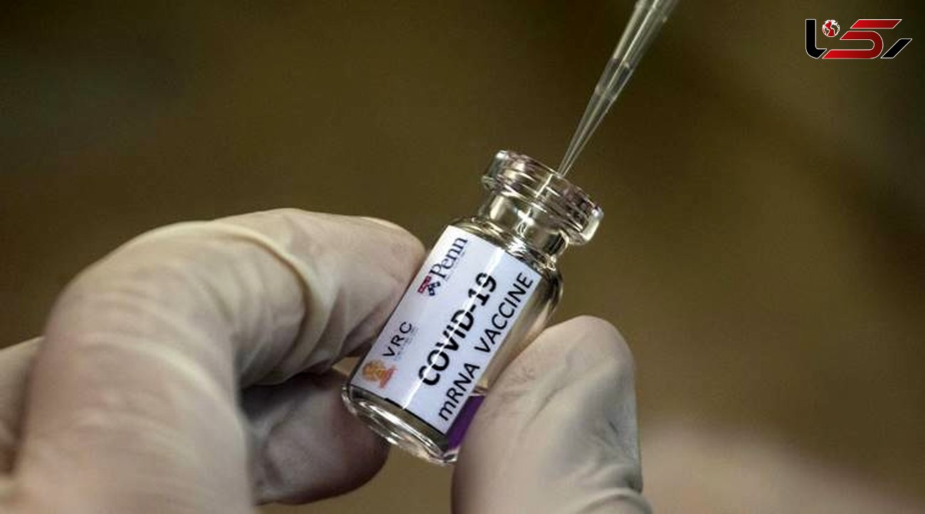 آزمایش موفق واکسن کرونا در ایران 