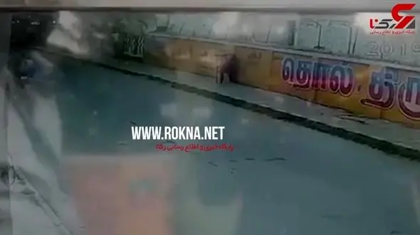 لحظه سرقت تلفن همراه زن جوان توسط سارقان موتورسوار +فیلم 