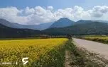 نماهنگ / "هوای دل" با صدای رضا بهرام و تصاویر دیدنی از استان گلستان + فیلم و عکس اختصاصی