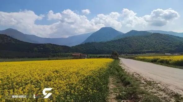 نماهنگ / "هوای دل" با صدای رضا بهرام و تصاویر دیدنی از استان گلستان + فیلم و عکس اختصاصی