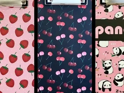 معرفی شیک‌ ترین کلاسورهای فانتزی برای دختران خوش‌ سلیقه