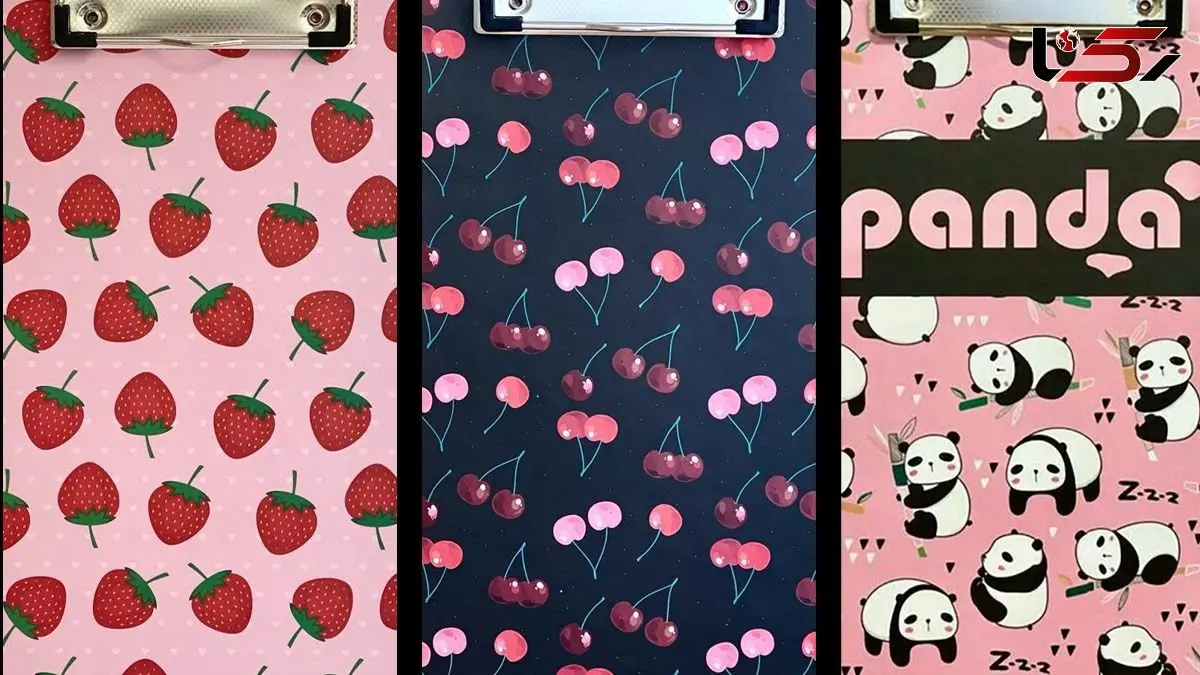 معرفی شیک‌ ترین کلاسورهای فانتزی برای دختران خوش‌ سلیقه