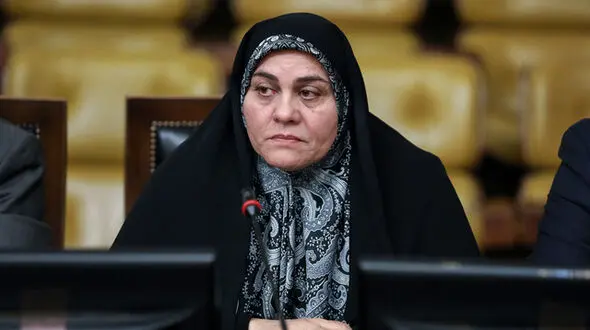 سعیدی: دولت مقدمات اجرای پاسخ رهبری به نامه مولوی عبدالحمید را فراهم کند