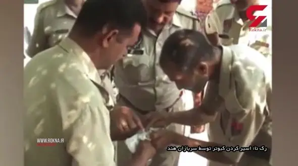 کبوتر جاسوس در مرزبانی هند دستگیر شد!+ فیلم و عکس 