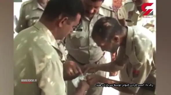 کبوتر جاسوس در مرزبانی هند دستگیر شد!+ فیلم و عکس 