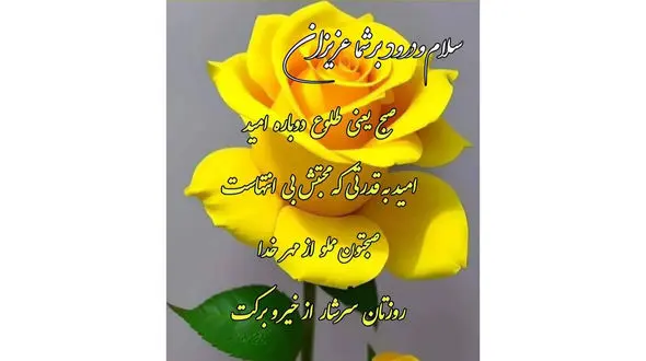 فال روزانه شخصی/ 29 مرداد ماه + فیلم