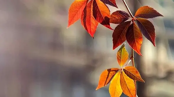 فال ابجد محشر 7 آبان 1402 + فیلم