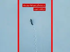 فیلم ثبت رد چشمگیر فوک خرچنگ‌خوار روی برف‌های جنوبگان