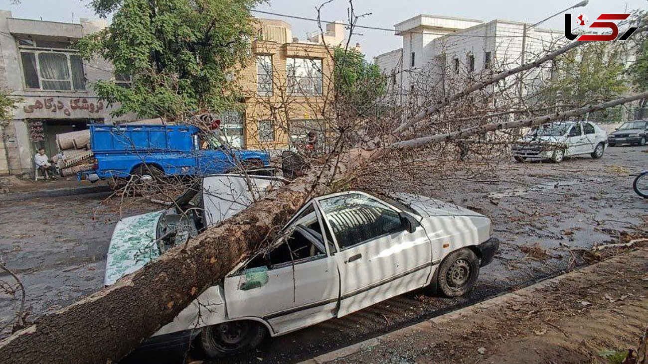 5 عکس وحشتناک از توفان در مشهد / ماشین ها له شدند + فیلم باورنکردنی 