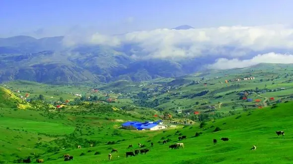 سفر نوروزی به گیلان حتما ممنوع است