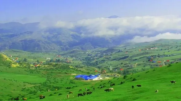 سفر نوروزی به گیلان حتما ممنوع است