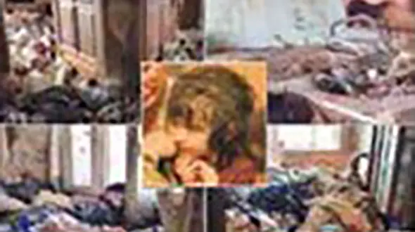 این دختر تارزان واقعی است / او در میان سوسک ها زندگی می کرد + عکس