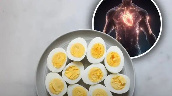 تخم مرغ برای بیماران کلسترولی و قلبی خطر دارد؟