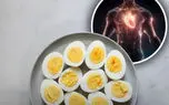 تخم مرغ برای بیماران کلسترولی و قلبی خطر دارد؟