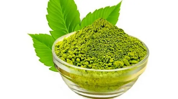 خواص ضد میکروبی و ضد قارچی در سدر