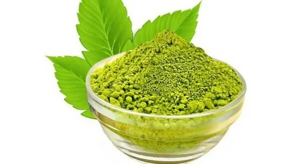 خواص ضد میکروبی و ضد قارچی در سدر