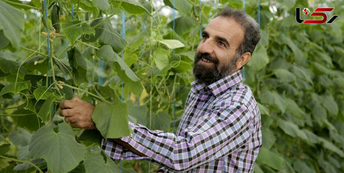 شهادت نویسنده جانباز نجف آبادی/ خالق «اکبر کاراته» آسمانی شد