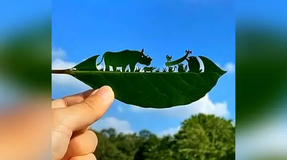 تزئین برگ به شکل های زیبا و خاص / فیلم