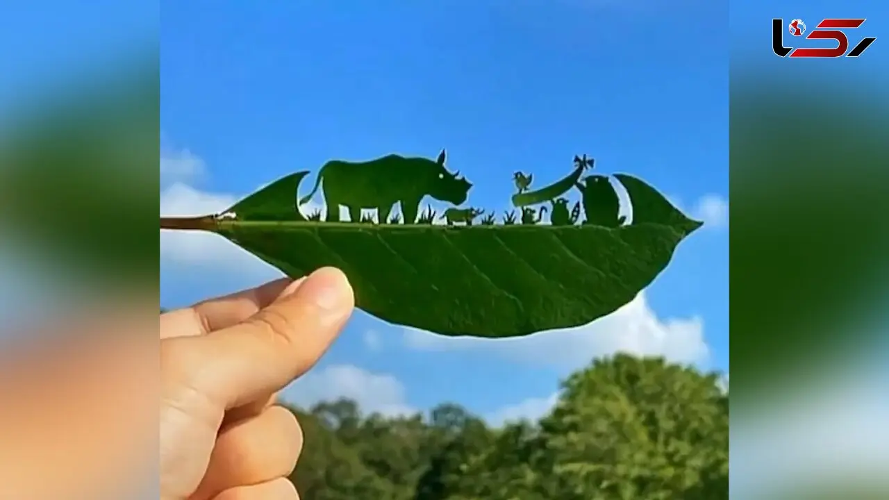 تزئین برگ به شکل های زیبا و خاص / فیلم