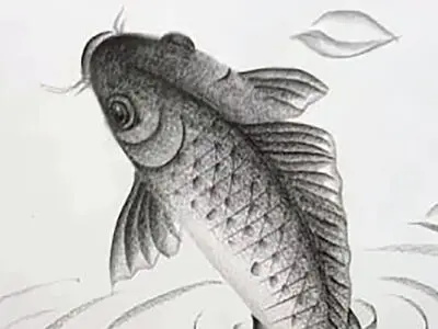 نقاشی بسیار طبیعی از ماهی با سیاه قلم + فیلم