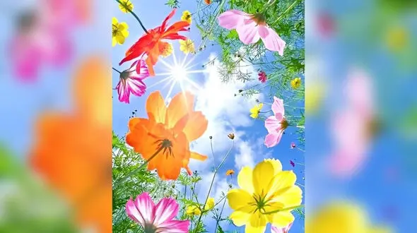 فال ابجد سه شنبه 6 خرداد 