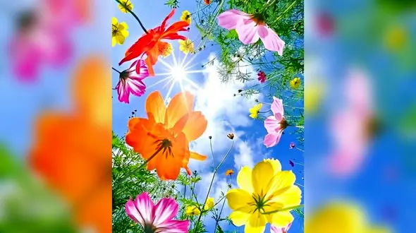 فال ابجد سه شنبه 6 خرداد 