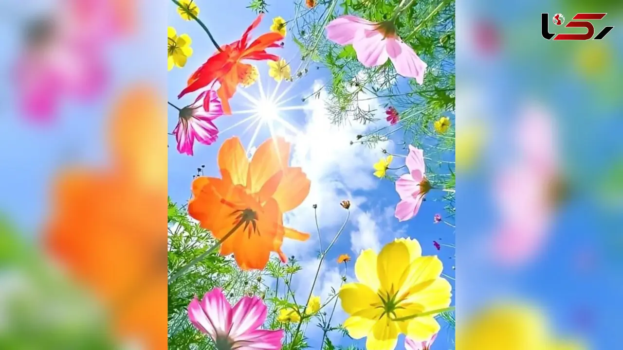 فال ابجد سه شنبه 6 خرداد 