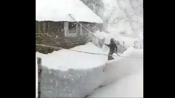 برف لاهیجان را فرا گرفت + فیلم